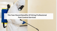The Year‑Round Benefits of Hiring Professional Pest Control Services 