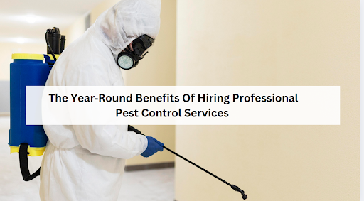 The Year‑Round Benefits of Hiring Professional Pest Control Services 