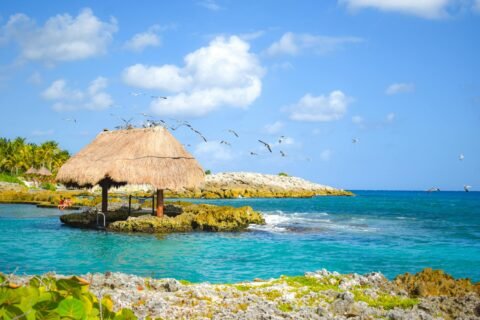 xcaret eco theme park