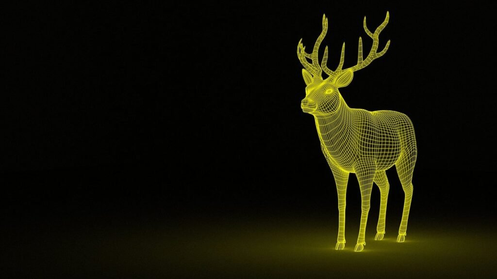 Professional 3D Rendering