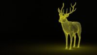 Professional 3D Rendering