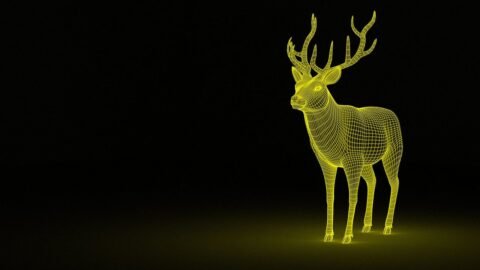 Professional 3D Rendering