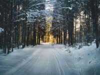 Winter Survival Kit