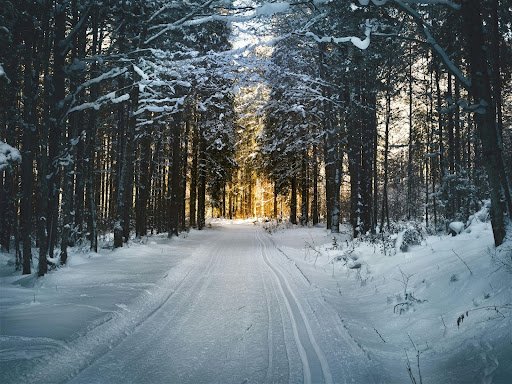 Winter Survival Kit
